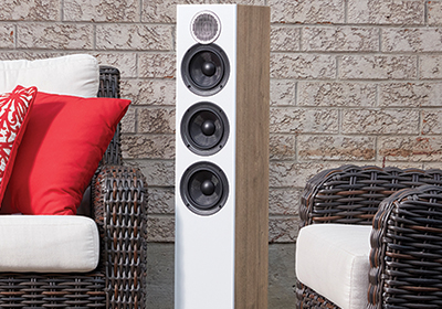Debut Reference Series