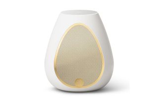 Linn Series 3 Partner Speaker - Gold