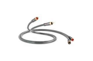 QED Performance Audio 40i Cable