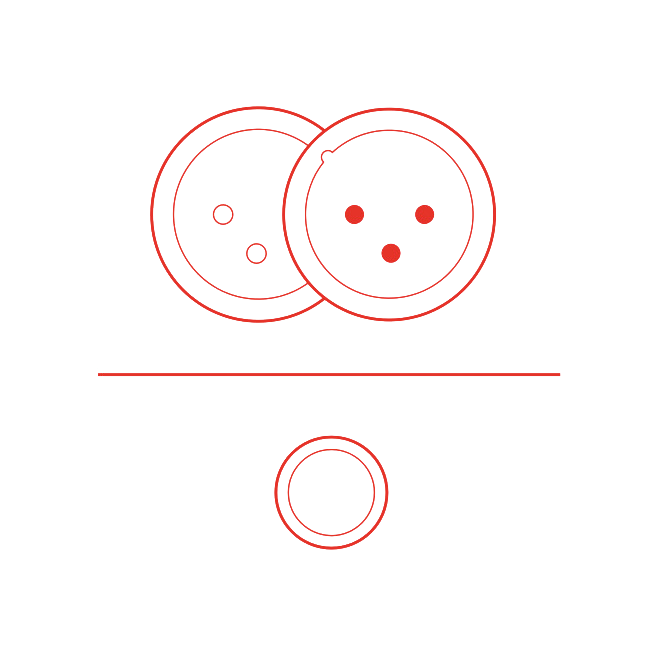  1 x Stereo Analog I/O